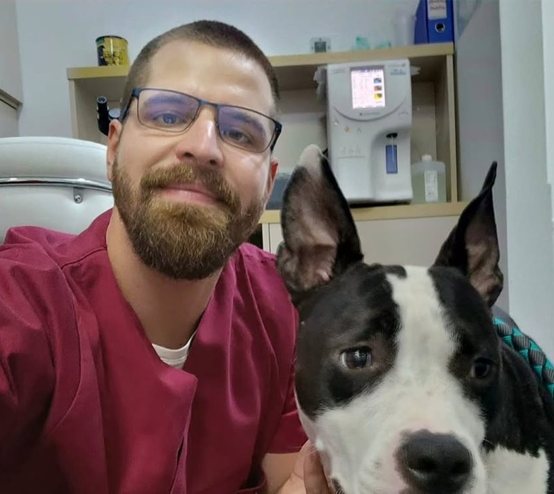 Veterinar sa psom u ambulanti